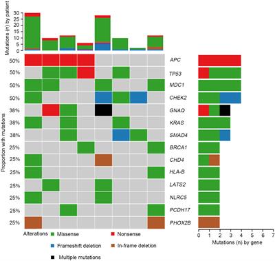 Comprehensive Molecular Profiling of Colorectal Cancer With Situs Inversus Totalis by Next-Generation Sequencing